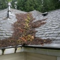 The Top Causes of Roof Failure and How to Prevent Them: An Expert's Perspective