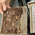 Dirty Air Filter Warning Signs You Should Never Ignore